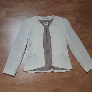 Aritzia Wilfred Blazer
